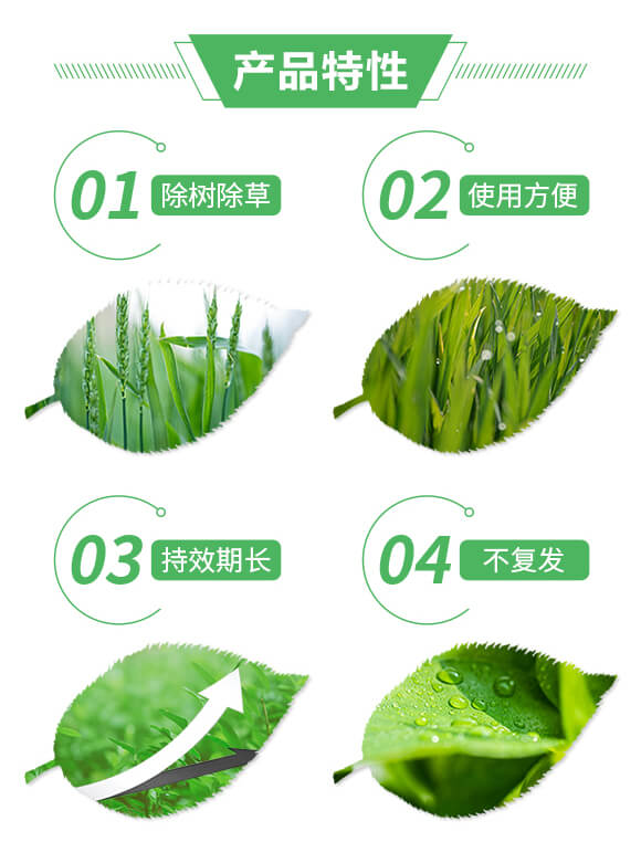 75%環(huán)嗪酮(500克)-雜竹凈-喜豐收_02